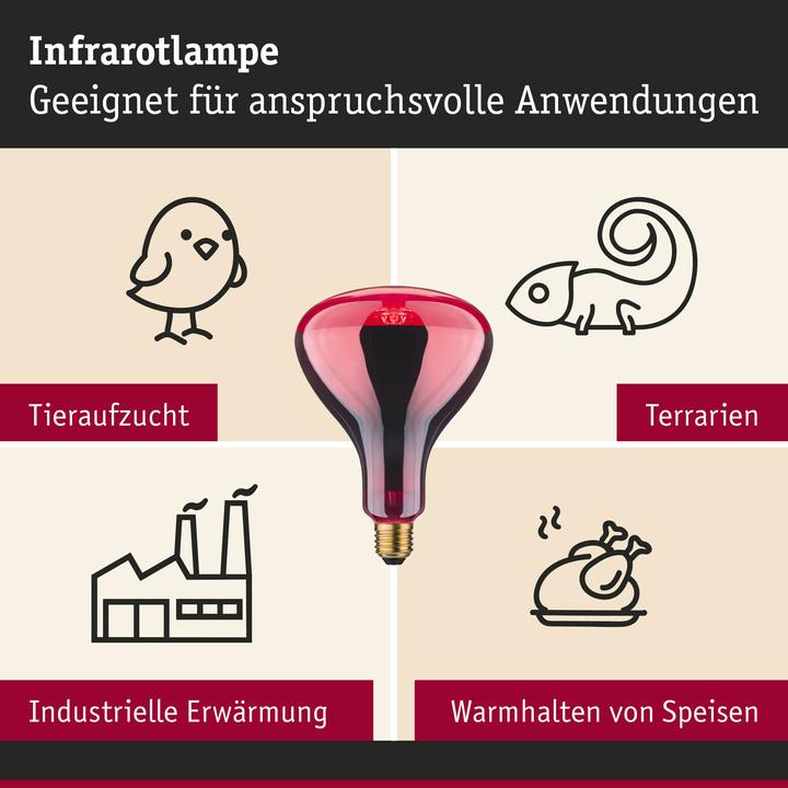 Produktbild Paulmann Reflektor Infrarot R125 (E27, 150 W, 100 lm, 1 x, E)