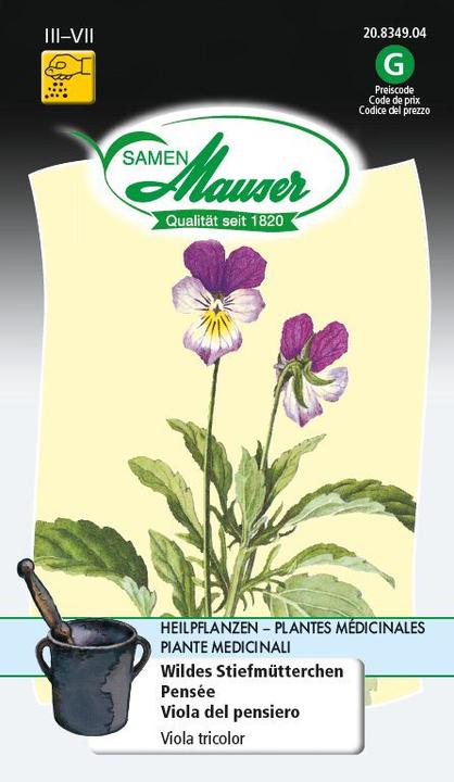 Produktbild Samen Mauser Wildes Stiefmütterchen (Pflanzensamen)