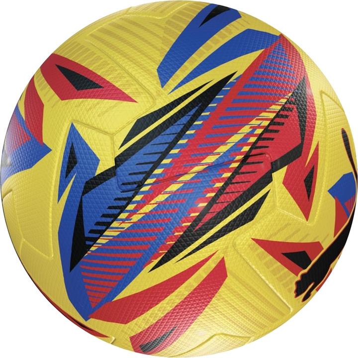 EFL Orbita 6 Sky Bet 2425 Fussball Puma Training (3)