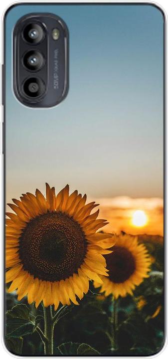 Sonnenblumen