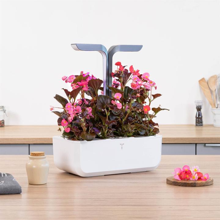 Image du produit Véritable Connect Indoor Garden (18 cm)