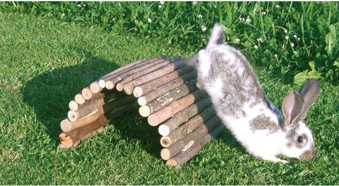 Actual product image Kerbl Wooden bridge