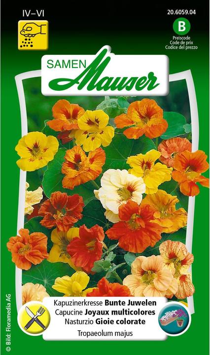 Samen Mauser Nasturtium Colourful Jewels (Herb seeds)