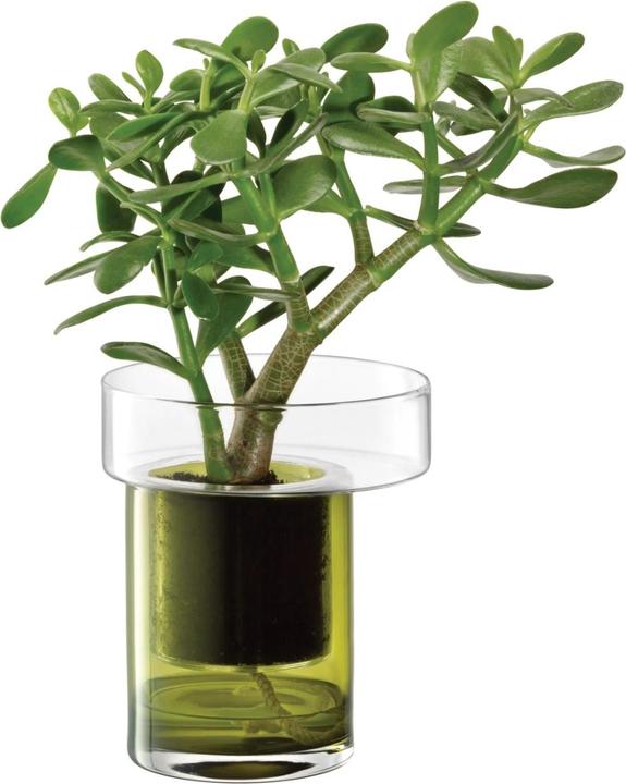 Actual product image LSA Planter Balcony self-watering H19 Ø16 cm clear/olive green (1 x)