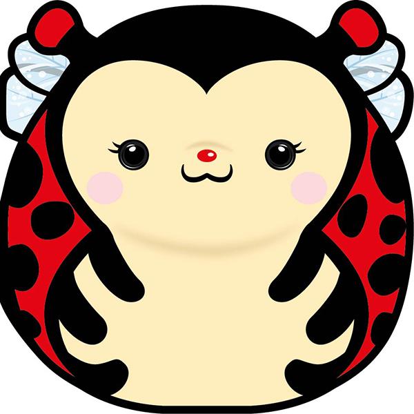 Actual product image Card Group Map Chonky Ladybug