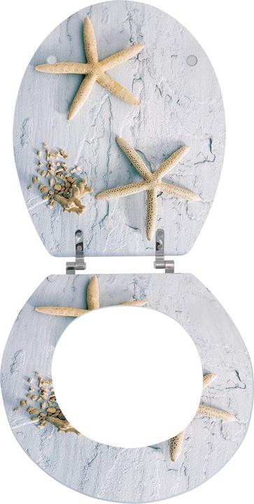 Image du produit MSV Étoile de mer