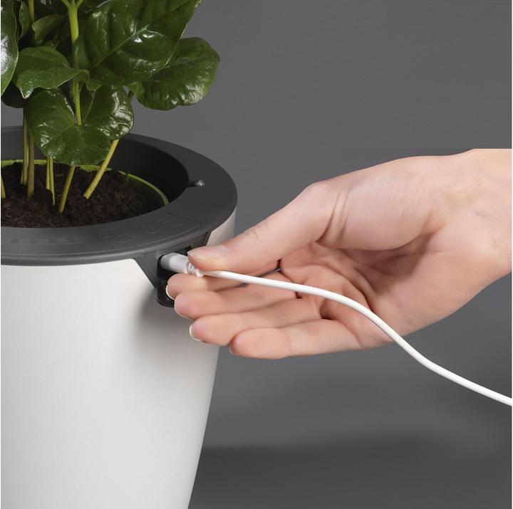 Produktbild Die Höhle der Löwen LazyLeaf