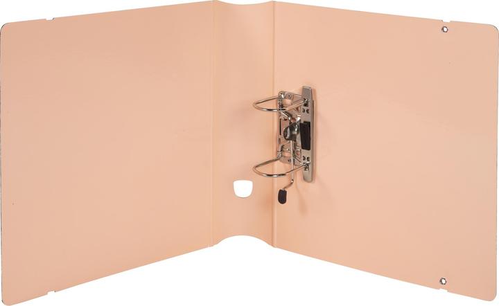Actual product image Exacompta Ordner (A4, 80 mm, 36 Piece)