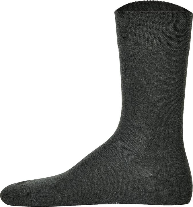 Actual product image Hudson Men socks (Single pack, 41 - 42)