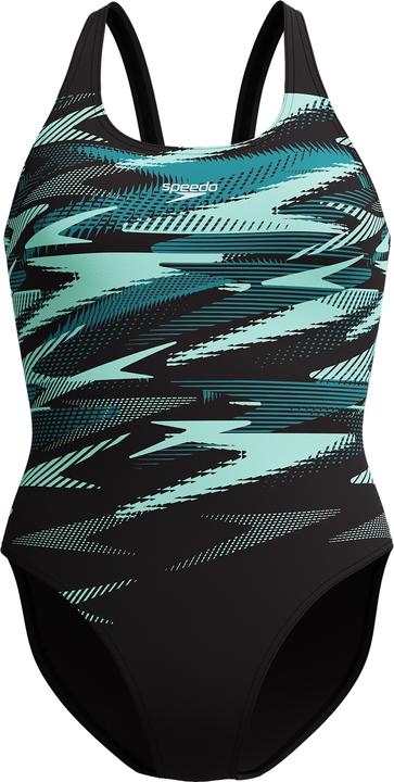 Sarcelle foncée