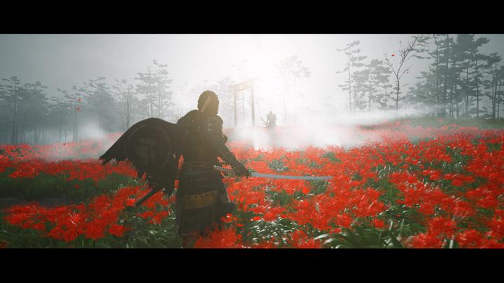 Image du produit Sony Ghost of Tsushima (PS4, Multilingue)