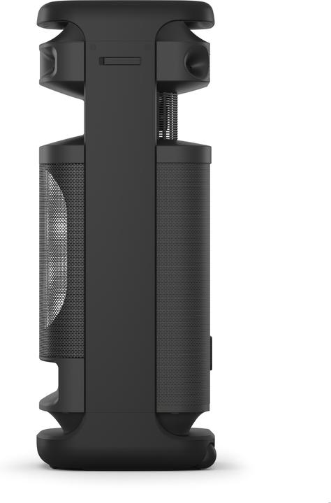 Actual product image Sony ULT Tower 10 (Electrical connection)
