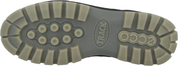 Image du produit Ecco Track 25 Low GTX (43)