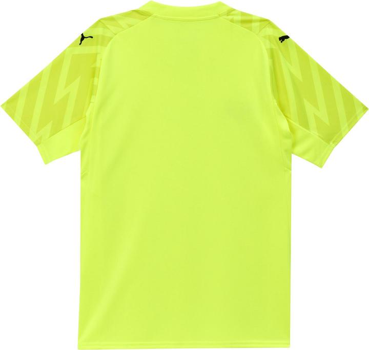 Produktbild Puma SFV GK Jersey SS Replica Jr (152)
