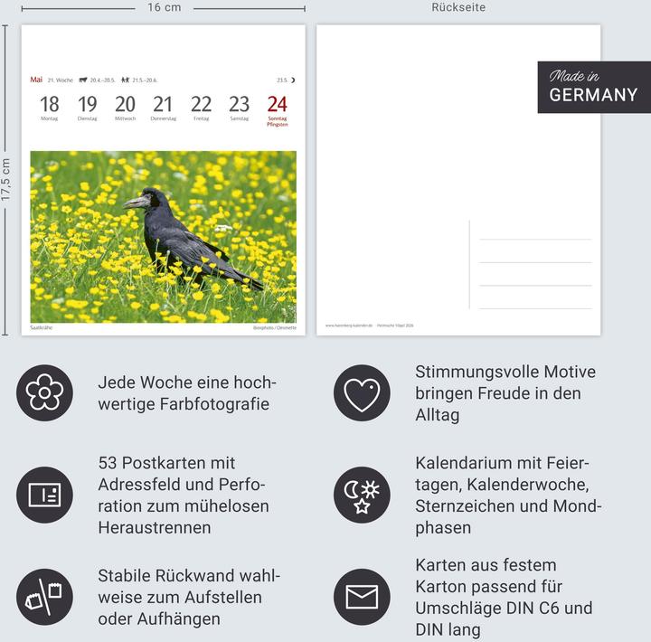 Immagine prodotto Harenberg Heimische Vögel Postkartenkalender 2026 - Wochenkalender mit 53 Postkarten (Tedesco)