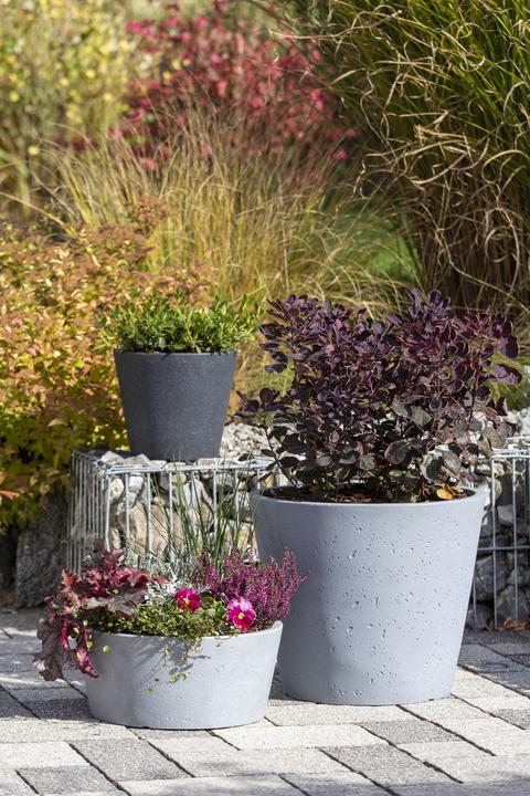 Produktbild Scheurich C-Cone Bowl (39 cm)