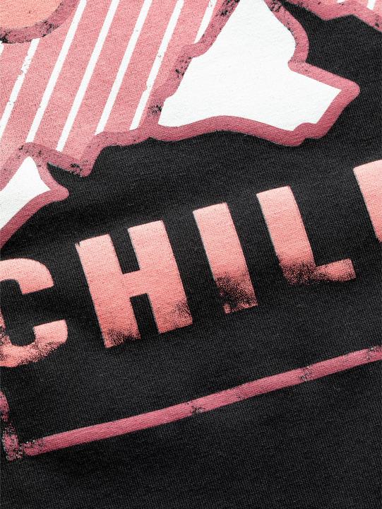 Actual product image Chillaz Women's Iseo Mountain Logo T-Shirt (38, M)