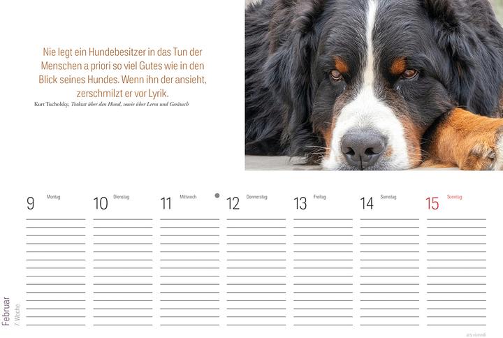 Produktbild Tischkalender Hunde 2026 (Deutsch)