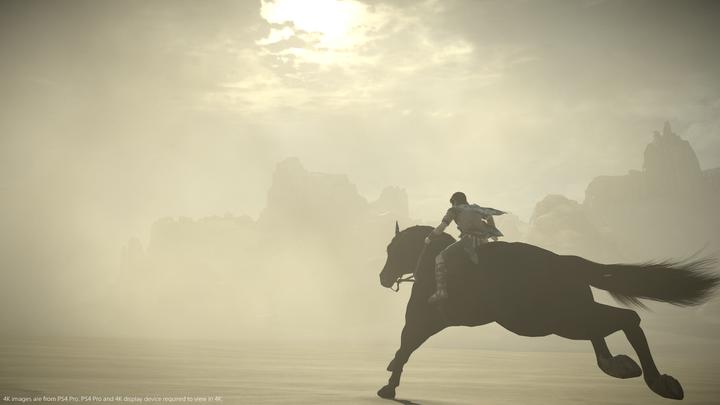 Actual product image Sony Interactive Entertainment Shadow of the Colossus PlayStation 4 (PS4, DE)