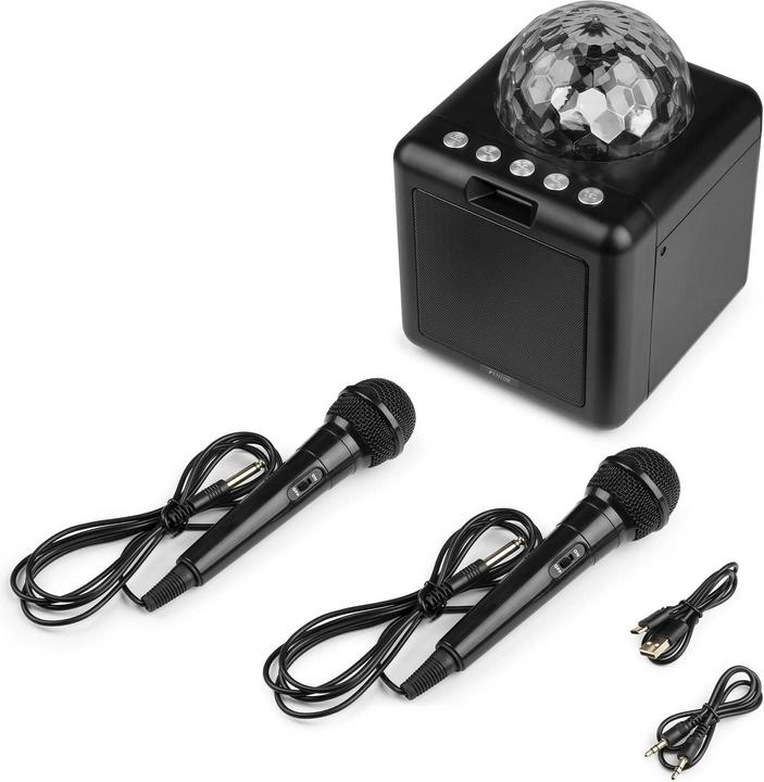 Image du produit Fenton Haut-parleur KAR15B avec 2 microphones (1x 15 W)