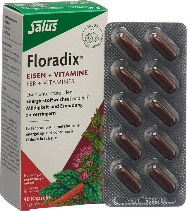 Actual product image Salus Iron + vitamins (1 Piece, Capsules, 73 g)