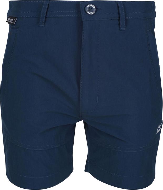 Actual product image Regatta Highton Shorts (146)