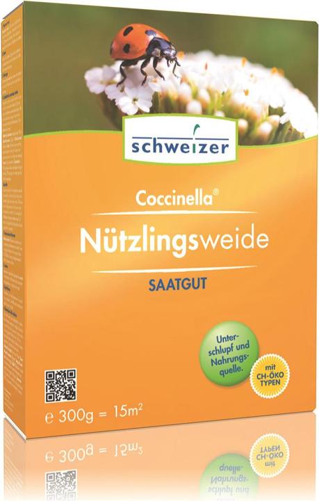 Schweizer Beneficial insect pasture Coccinella (Lawn reseed)