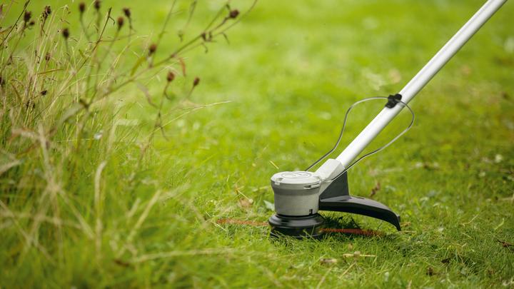 Immagine prodotto Bosch Home & Garden AdvancedBrushCut 36V-23-750 (Filo di taglio)