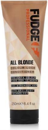 Actual product image Fudge All Blonde Colour Lock Conditioner 250ml (250 ml)