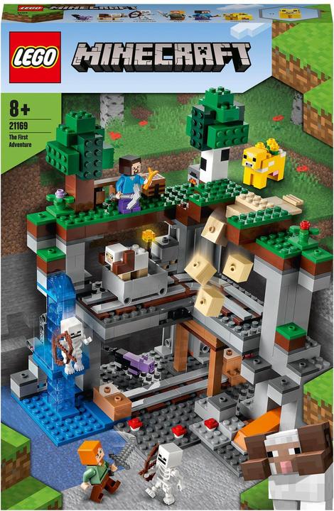 LEGO Das erste Abenteuer (21169, LEGO Minecraft)