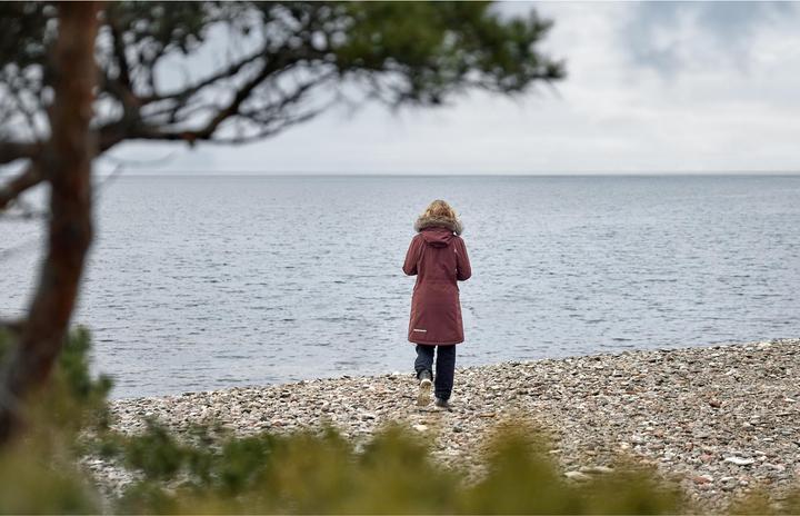 Produktbild Didriksons Women's Erika Parka 3 (40)