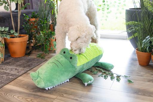 Image du produit Beeztees Hundespielzeug Krokodil