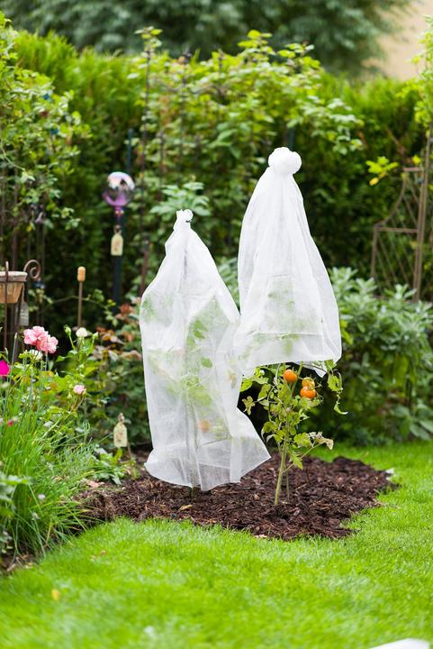 Produktbild Windhager Tomaten-Vliesschlauch10x0.65m