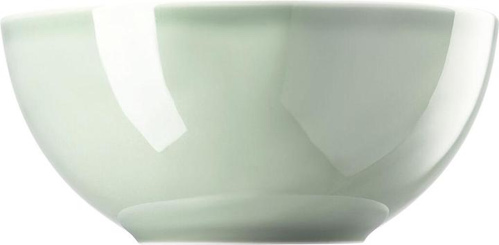 Actual product image Thomas Daily - Moss Green - Bowl 24 cm (23.80 cm, 2.80 l, 1 x)