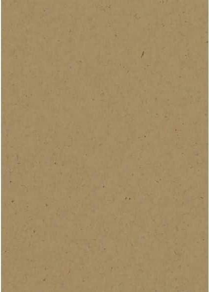 Actual product image Heyda Universal cardboard 220g/sqm A4 natural brown (220 g/m², 1 x)