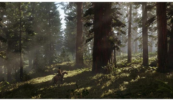 Actual product image Rockstar Red Dead Redemption 2 (PS4, DE)