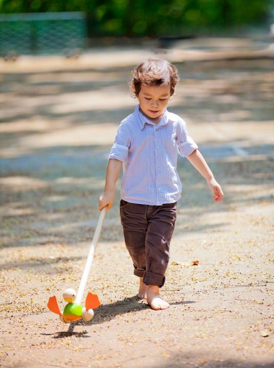 Produktbild Plantoys Ente zum Stossen