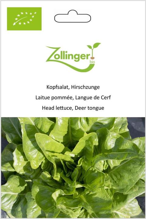 Produktbild Zollinger Bio Kopfsalat, Hirschzunge (Keimlinge)