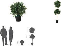Produktbild Paperflow Lorbeerbaum (50 cm)
