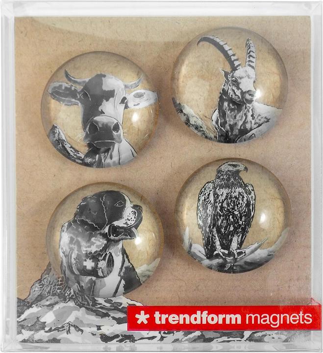 Produktbild Trendform EYE-Magnete BELLA & FRIENDS (4 x)