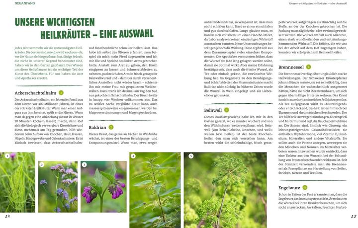 Produktbild Der Selbstversorger: Mein Gartenwissen (Deutsch, Wolf-Dieter Storl, 2017)
