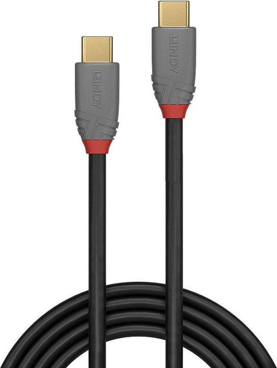 Productafbeelding Lindy Anthra Lijn (0.50 m, USB 3.1, 20 W)