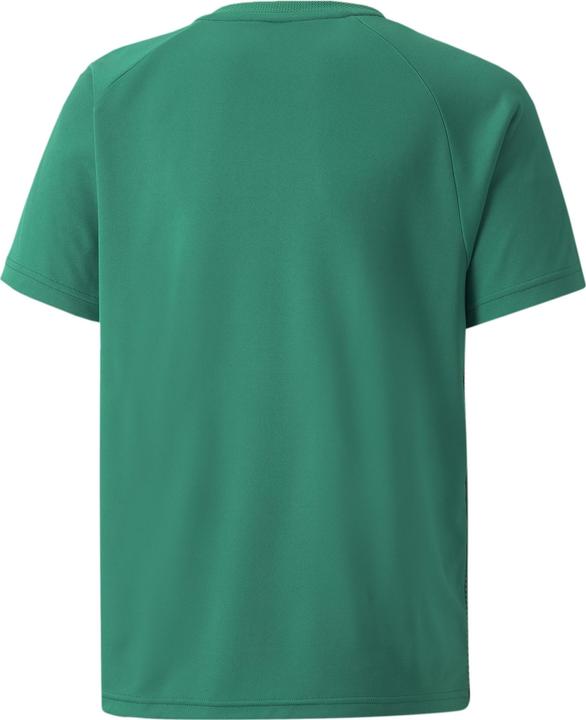 Immagine prodotto Puma maglia a righe teamLIGA Jr-704927 (140)