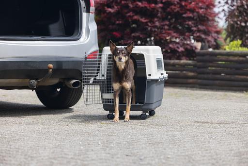 Produktbild Karlie Nomad (Hund, Katze, Abschliessbar)