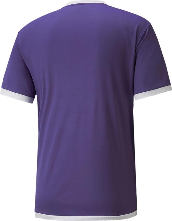Actual product image Puma teamLIGA Jersey-704917 (L)