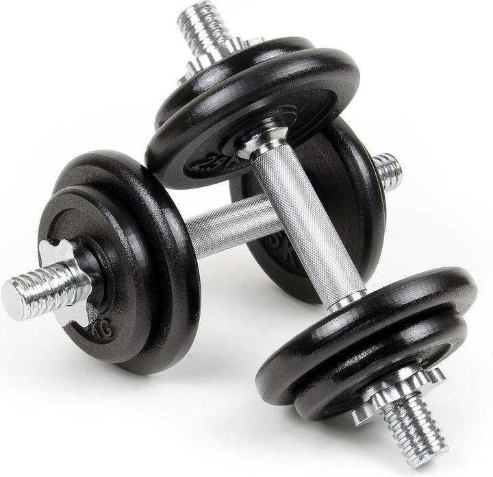 Luxtri Kurzhantel Set 20 kg Koffer Hantel Hantelset Training Gewichte Zuhause (4 x 2.5 kg, 4 x 1.25 kg)