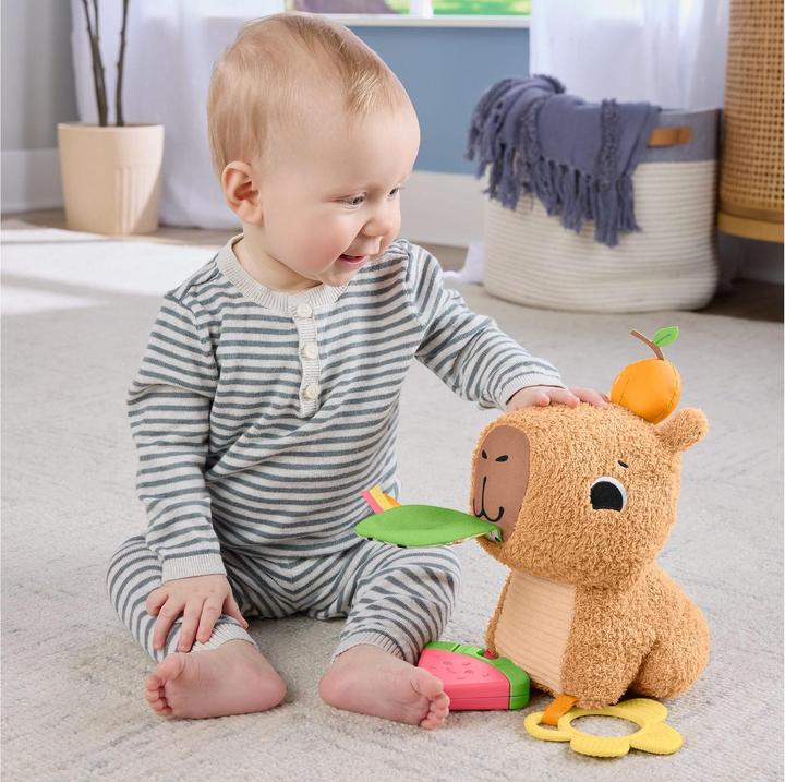 Productafbeelding Fisher-Price Kuschel-Capybara (24.10 cm)