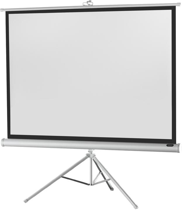 Celexon Economy tripod screen - Projektionsbildschirm mit Stativ - 221 cm (87") (87", 4:3)