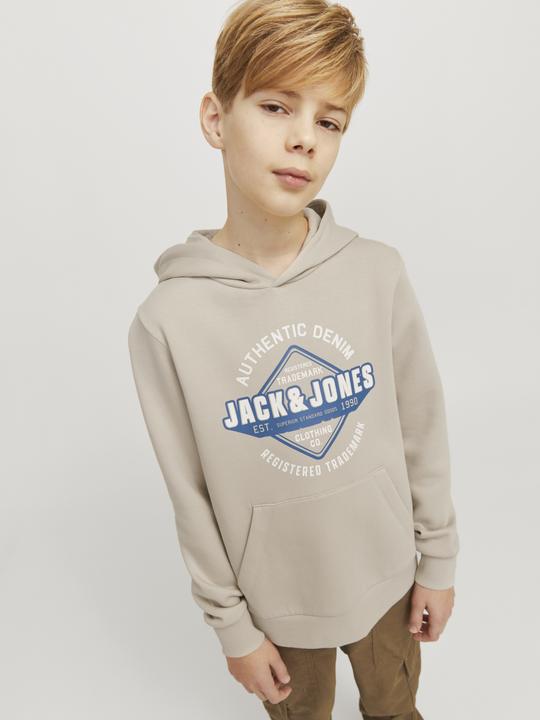Actual product image Jack & Jones JJELOGO SWEAT HOOD 2 COL 24/25 NOOS JNR (176)