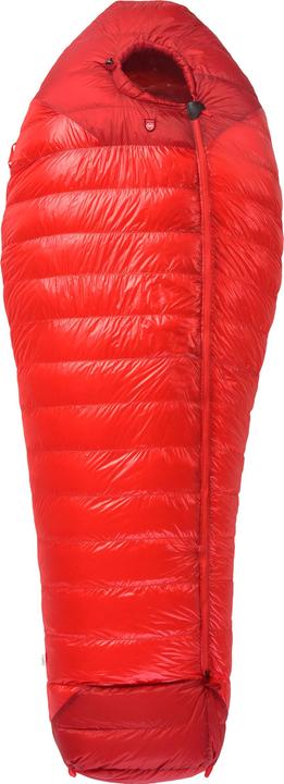 Actual product image Pajak Radical 8Z